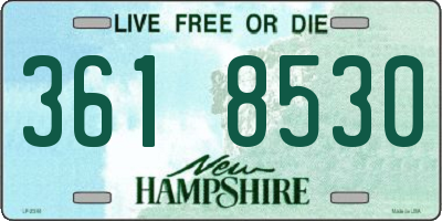NH license plate 3618530