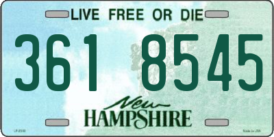 NH license plate 3618545