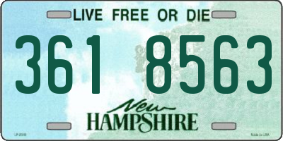 NH license plate 3618563