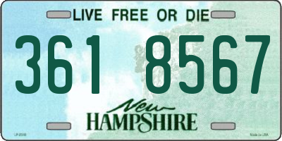 NH license plate 3618567