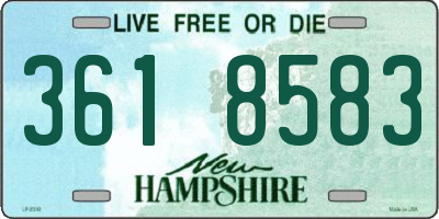 NH license plate 3618583