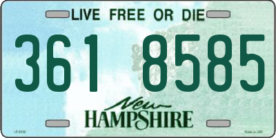 NH license plate 3618585