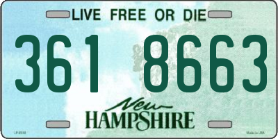 NH license plate 3618663