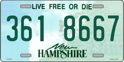 NH license plate 3618667