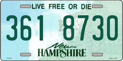 NH license plate 3618730