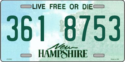 NH license plate 3618753