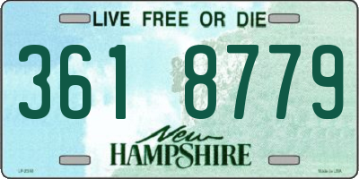 NH license plate 3618779