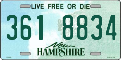 NH license plate 3618834