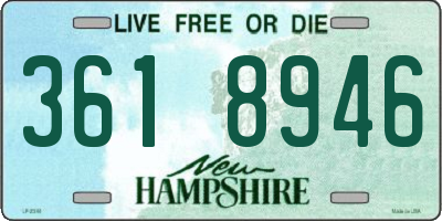 NH license plate 3618946