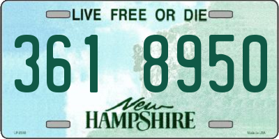 NH license plate 3618950