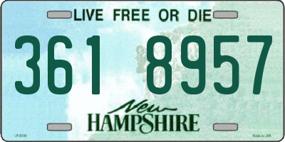 NH license plate 3618957