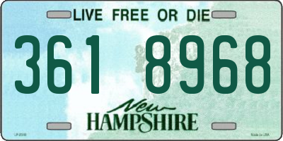 NH license plate 3618968