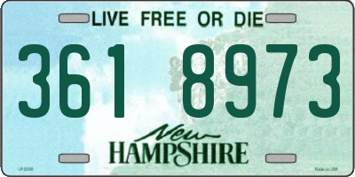 NH license plate 3618973