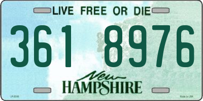 NH license plate 3618976
