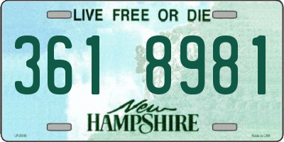NH license plate 3618981