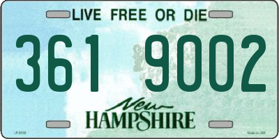 NH license plate 3619002
