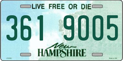 NH license plate 3619005