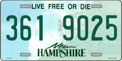 NH license plate 3619025