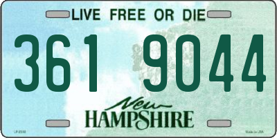 NH license plate 3619044