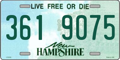 NH license plate 3619075