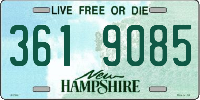 NH license plate 3619085