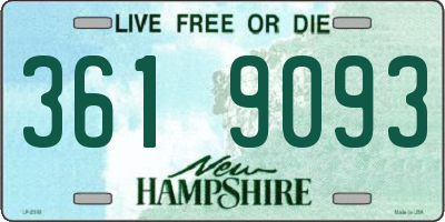NH license plate 3619093