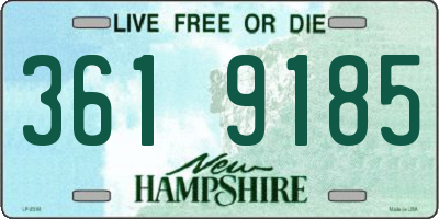 NH license plate 3619185