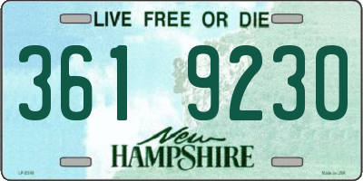 NH license plate 3619230