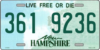 NH license plate 3619236
