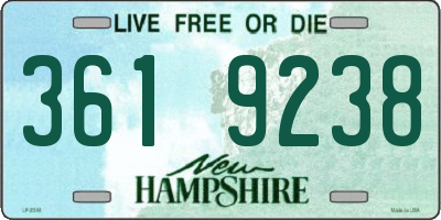 NH license plate 3619238