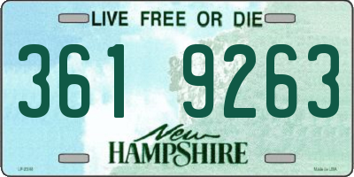 NH license plate 3619263