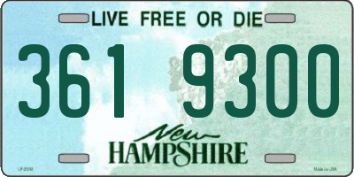 NH license plate 3619300