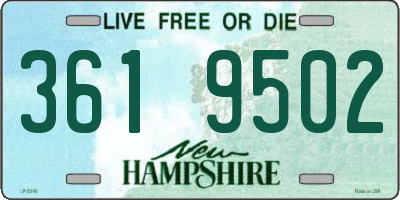 NH license plate 3619502