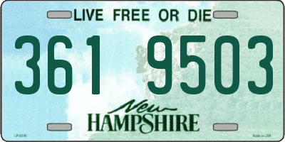 NH license plate 3619503