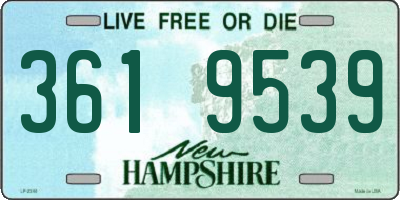 NH license plate 3619539
