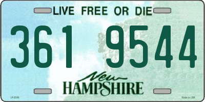 NH license plate 3619544