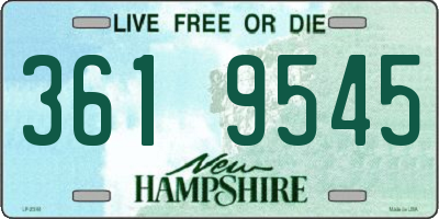 NH license plate 3619545