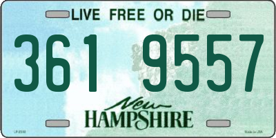 NH license plate 3619557