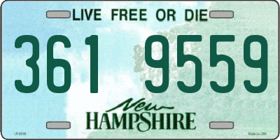 NH license plate 3619559