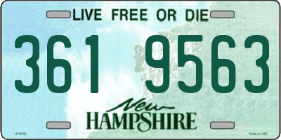 NH license plate 3619563
