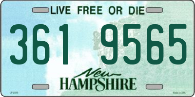 NH license plate 3619565