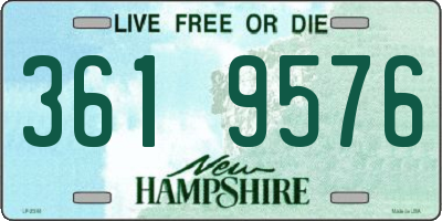 NH license plate 3619576