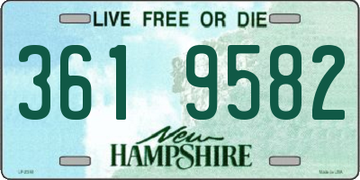 NH license plate 3619582