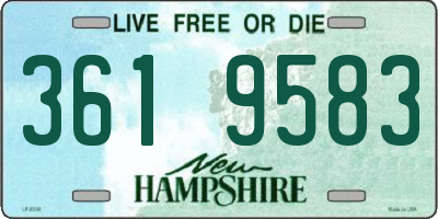 NH license plate 3619583