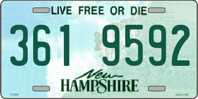 NH license plate 3619592