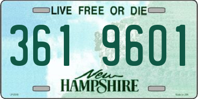 NH license plate 3619601