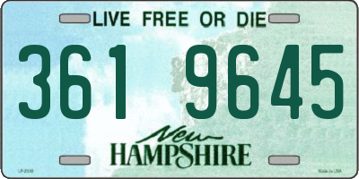 NH license plate 3619645