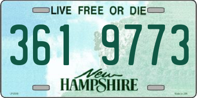 NH license plate 3619773
