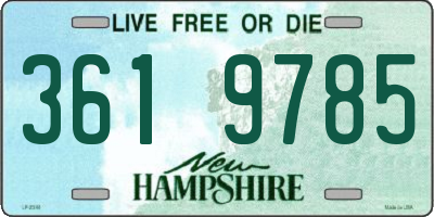 NH license plate 3619785