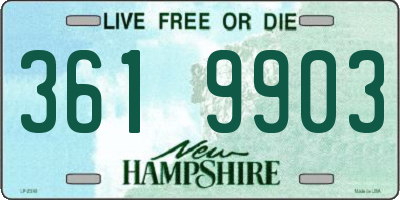 NH license plate 3619903